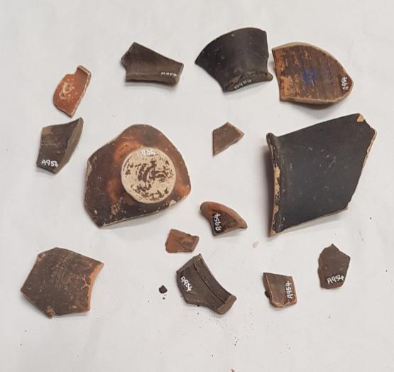 Pieces of broken pottery with a black finish lay on a white background.