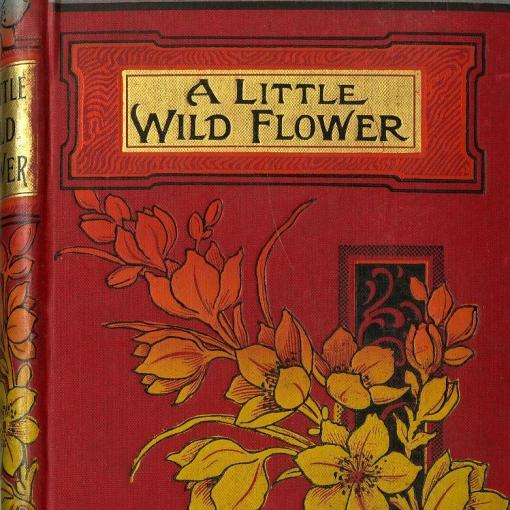 Typography - Wild Flower book